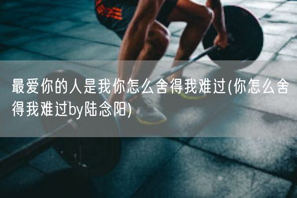 最爱你的人是我你怎么舍得我难过(你怎么舍得我难过by陆念阳)(图1)