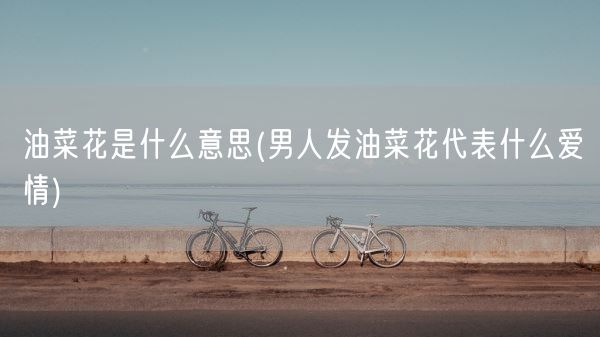 油菜花是什么意思(男人发油菜花代表什么爱情)(图1)
