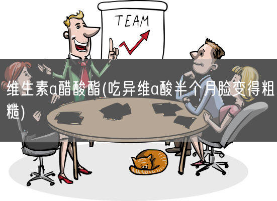 维生素a醋酸酯(吃异维a酸半个月脸变得粗糙)(图1)