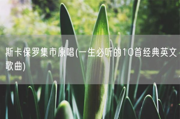 斯卡保罗集市原唱(一生必听的10首经典英文歌曲)(图1) 斯卡保罗集市原唱(一生必听的10首经典英文歌曲)(图1)