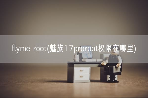 flyme root(魅族17proroot权限在哪里)(图1)