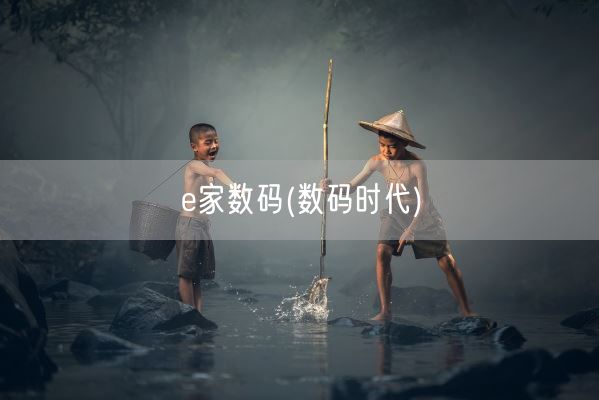 e家数码(数码时代)(图1)