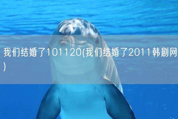 我们结婚了101120(我们结婚了2011韩剧网)(图1)