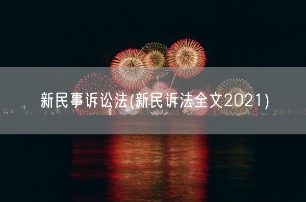 新民事诉讼法(新民诉法全文2021)(图1) 新民事诉讼法(新民诉法全文2021)(图1)