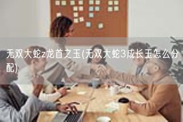 无双大蛇z龙首之玉(无双大蛇3成长玉怎么分配)(图1) 无双大蛇z龙首之玉(无双大蛇3成长玉怎么分配)(图1)