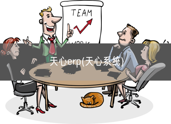 天心erp(天心系统)(图1) 天心erp(天心系统)(图1)