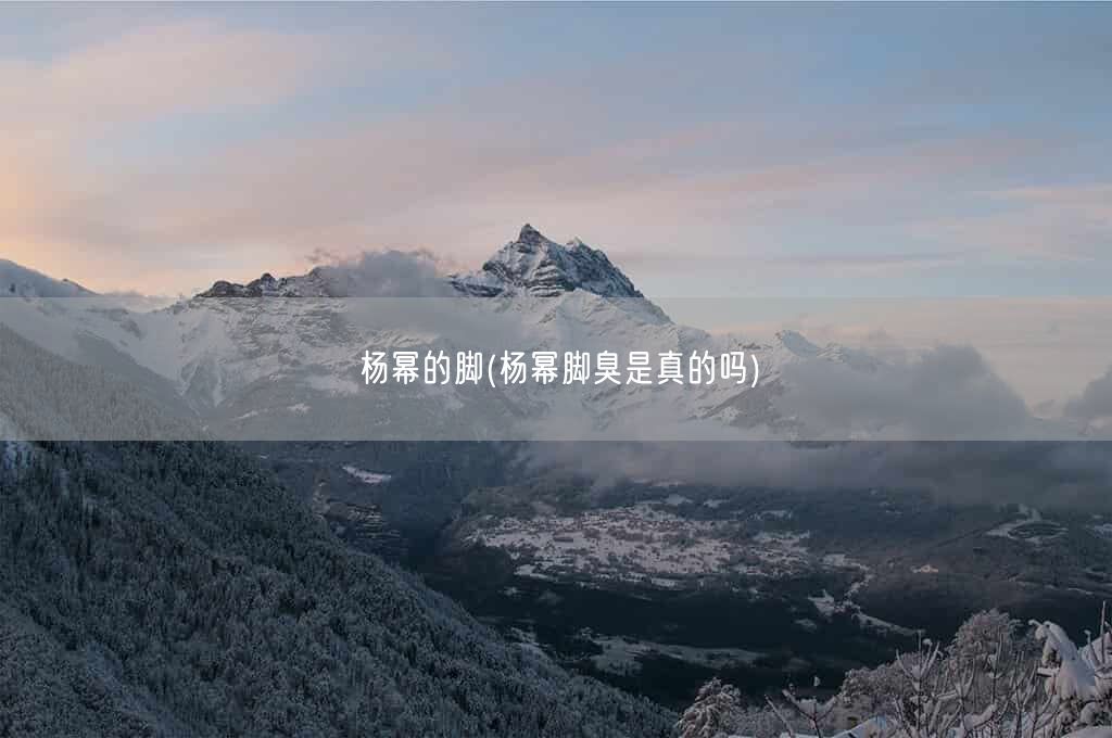 杨幂的脚(杨幂脚臭是真的吗)(图1) 杨幂的脚(杨幂脚臭是真的吗)(图1)