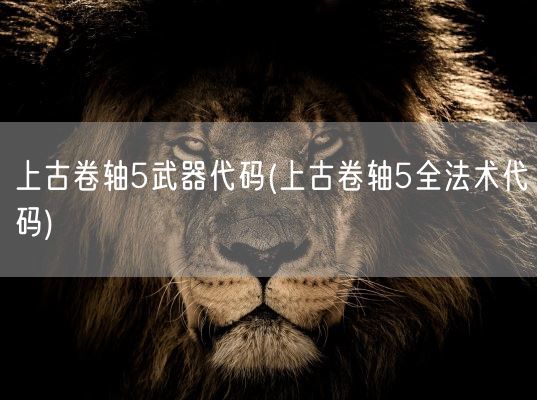 上古卷轴5武器代码(上古卷轴5全法术代码)(图1) 上古卷轴5武器代码(上古卷轴5全法术代码)(图1)