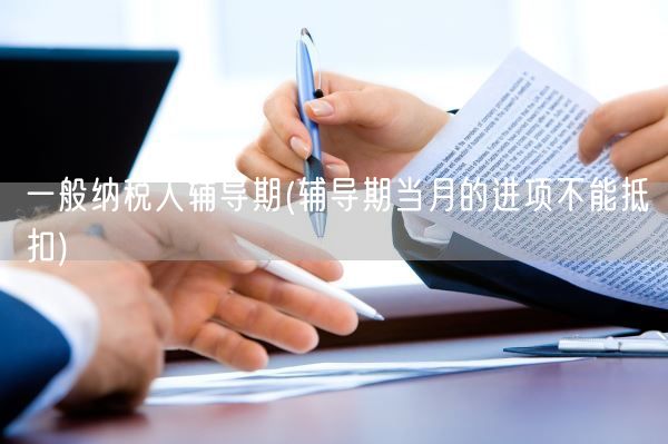 一般纳税人辅导期(辅导期当月的进项不能抵扣)(图1) 一般纳税人辅导期(辅导期当月的进项不能抵扣)(图1)