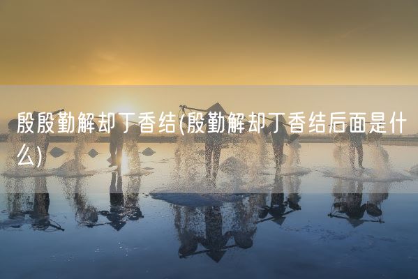 殷殷勤解却丁香结(殷勤解却丁香结后面是什么)(图1)