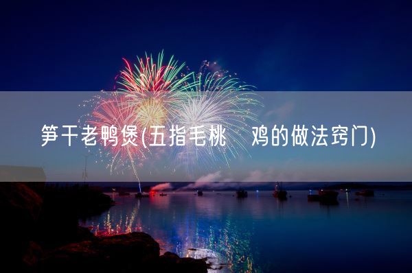 笋干老鸭煲(五指毛桃焗鸡的做法窍门)(图1)