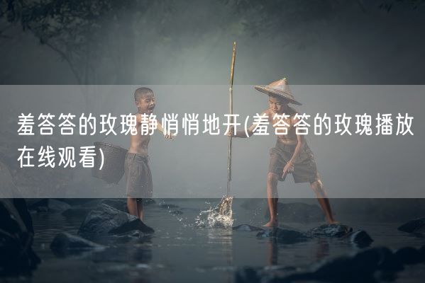 羞答答的玫瑰静悄悄地开(羞答答的玫瑰播放在线观看)(图1)