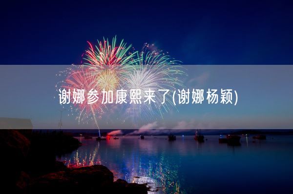 谢娜参加康熙来了(谢娜杨颖)(图1)