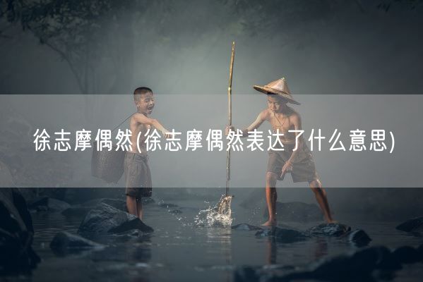 徐志摩偶然(徐志摩偶然表达了什么意思)(图1)