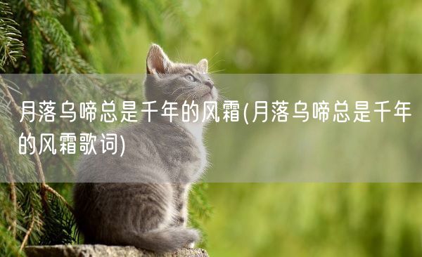 月落乌啼总是千年的风霜(月落乌啼总是千年的风霜歌词)(图1)