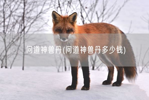 问道神兽丹(问道神兽丹多少钱)(图1)
