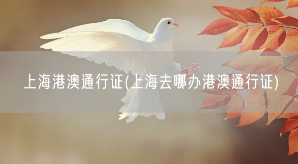 上海港澳通行证(上海去哪办港澳通行证)(图1) 上海港澳通行证(上海去哪办港澳通行证)(图1)