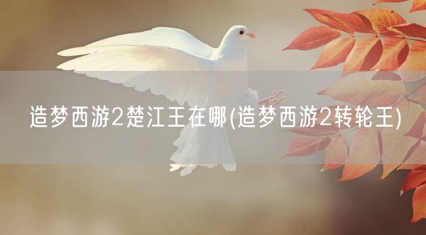 造梦西游2楚江王在哪(造梦西游2转轮王)(图1) 造梦西游2楚江王在哪(造梦西游2转轮王)(图1)