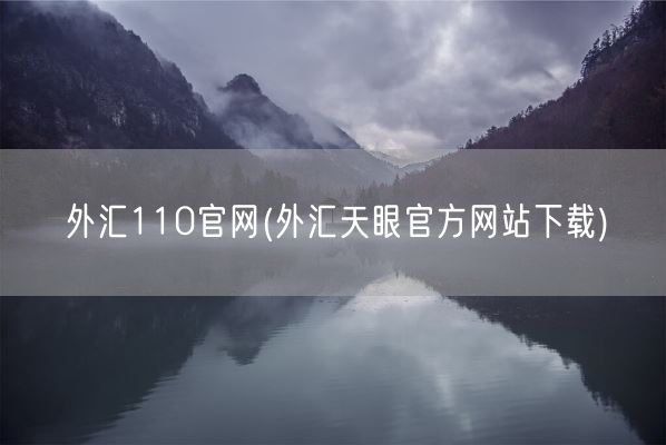 外汇110官网(外汇天眼官方网站下载)(图1) 外汇110官网(外汇天眼官方网站下载)(图1)