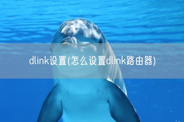 dlink设置(怎么设置dlink路由器)(图1)