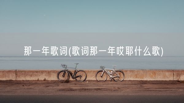 那一年歌词(歌词那一年哎耶什么歌)(图1)