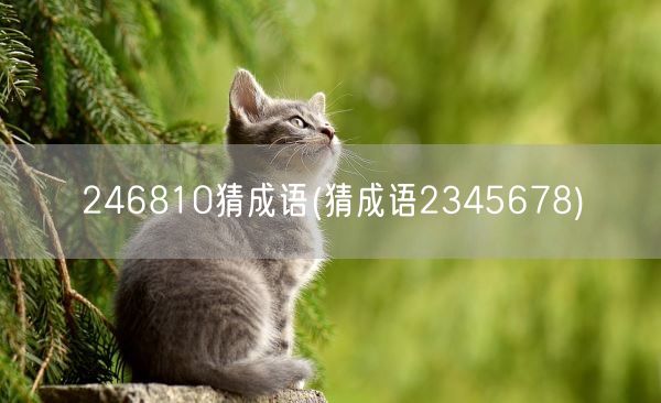 246810猜成语(猜成语2345678)(图1)