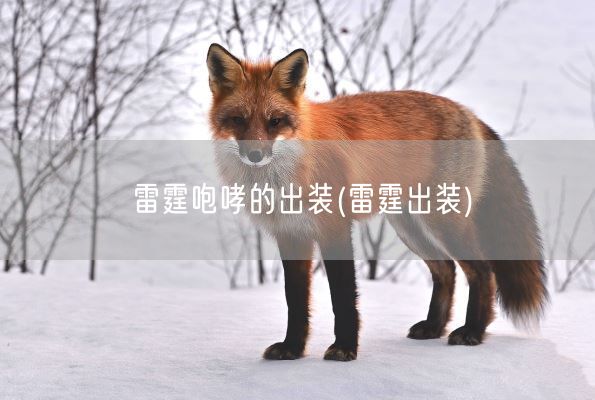 雷霆咆哮的出装(雷霆出装)(图1)