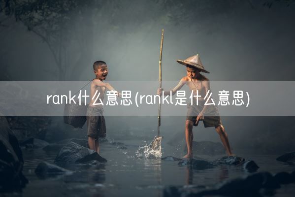rank什么意思(rankl是什么意思)(图1)
