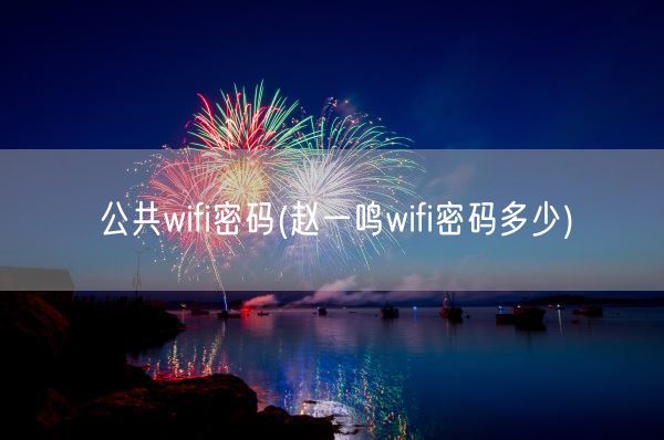 公共wifi密码(赵一鸣wifi密码多少)(图1)