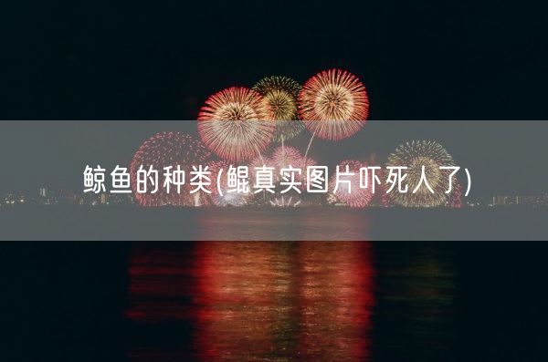 鲸鱼的种类(鲲真实图片吓死人了)(图1) 鲸鱼的种类(鲲真实图片吓死人了)(图1)