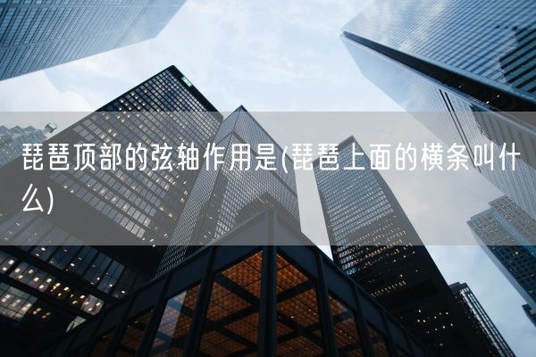 琵琶顶部的弦轴作用是(琵琶上面的横条叫什么)(图1) 琵琶顶部的弦轴作用是(琵琶上面的横条叫什么)(图1)