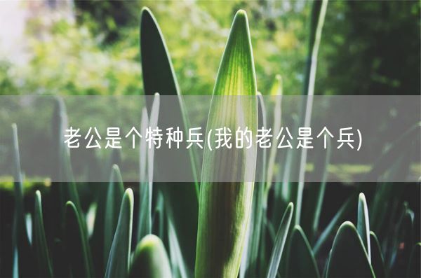 老公是个特种兵(我的老公是个兵)(图1)