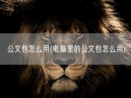 公文包怎么用(电脑里的公文包怎么用)(图1)