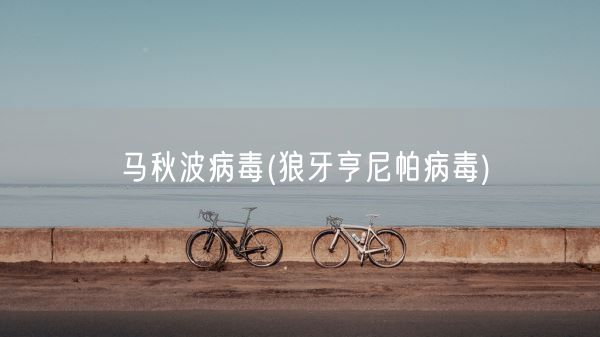 马秋波病毒(狼牙亨尼帕病毒)(图1)