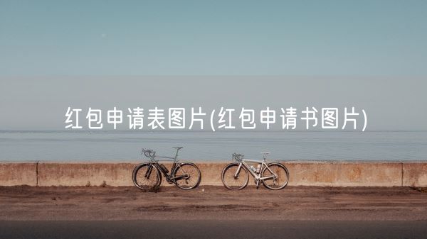 红包申请表图片(红包申请书图片)(图1)