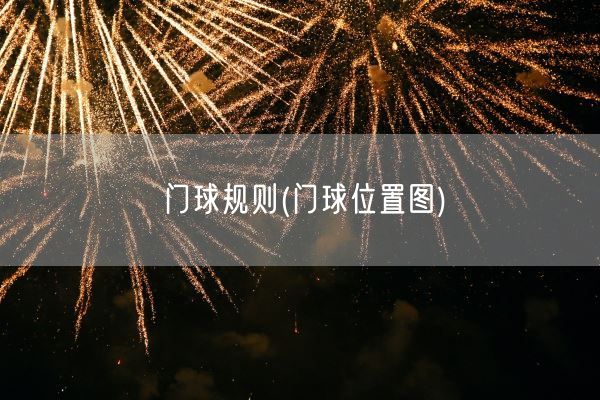 门球规则(门球位置图)(图1)