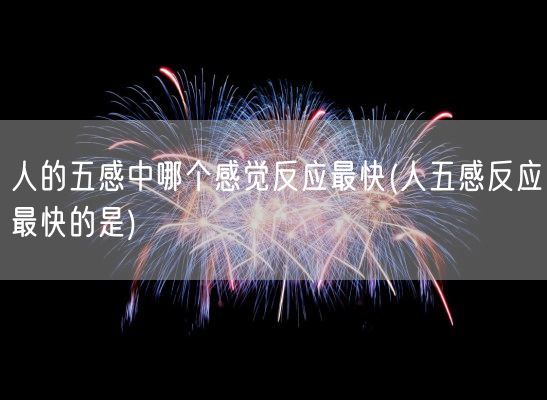 人的五感中哪个感觉反应最快(人五感反应最快的是)(图1)