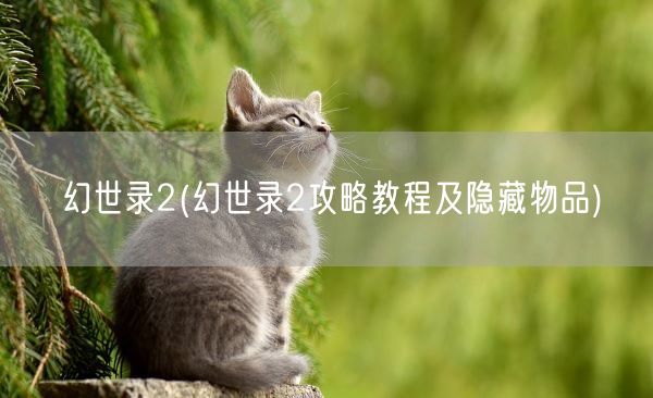 幻世录2(幻世录2攻略教程及隐藏物品)(图1)