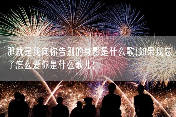 那就是我向你告别的身影是什么歌(如果我忘了怎么爱你是什么歌儿)(图1)