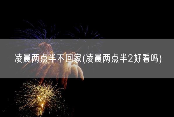 凌晨两点半不回家(凌晨两点半2好看吗)(图1)