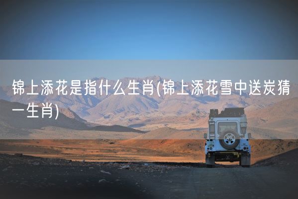 锦上添花是指什么生肖(锦上添花雪中送炭猜一生肖)(图1)