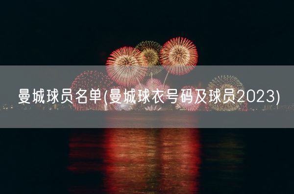 曼城球员名单(曼城球衣号码及球员2023)(图1)