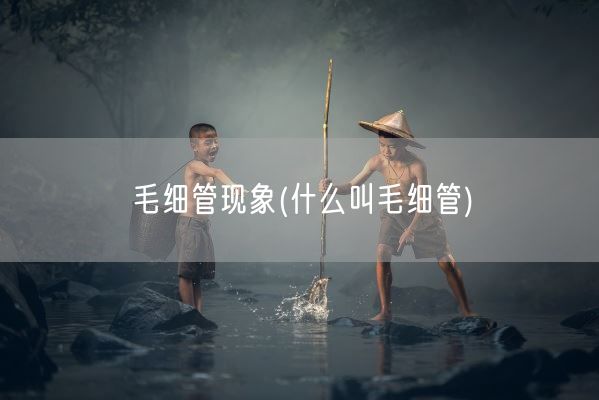毛细管现象(什么叫毛细管)(图1)