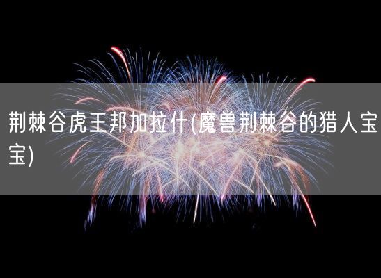 荆棘谷虎王邦加拉什(魔兽荆棘谷的猎人宝宝)(图1)