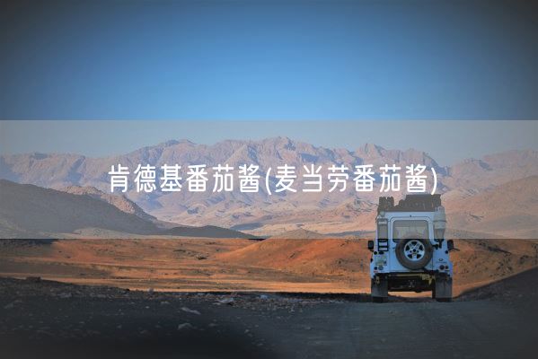 肯德基番茄酱(麦当劳番茄酱)(图1)