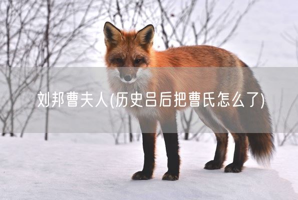 刘邦曹夫人(历史吕后把曹氏怎么了)(图1)