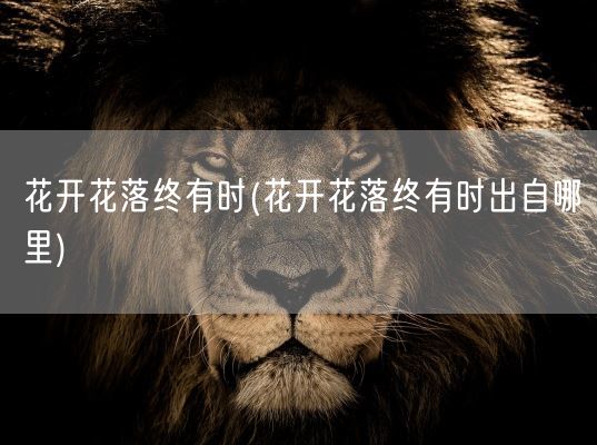 花开花落终有时(花开花落终有时出自哪里)(图1) 花开花落终有时(花开花落终有时出自哪里)(图1)