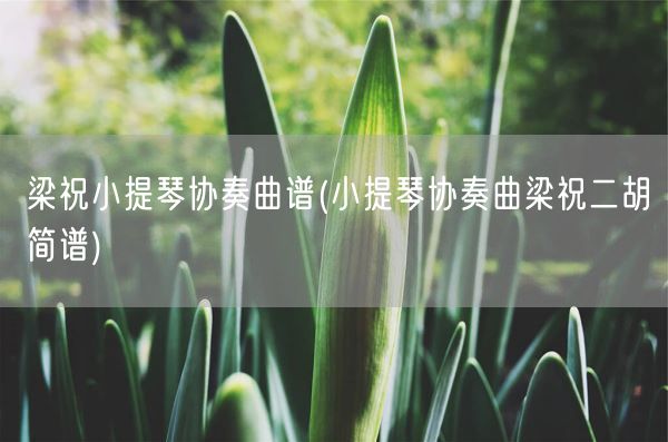 梁祝小提琴协奏曲谱(小提琴协奏曲梁祝二胡简谱)(图1)