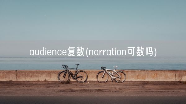 audience复数(narration可数吗)(图1)