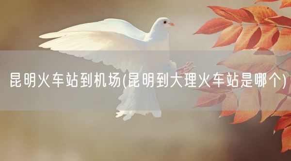 昆明火车站到机场(昆明到大理火车站是哪个)(图1)